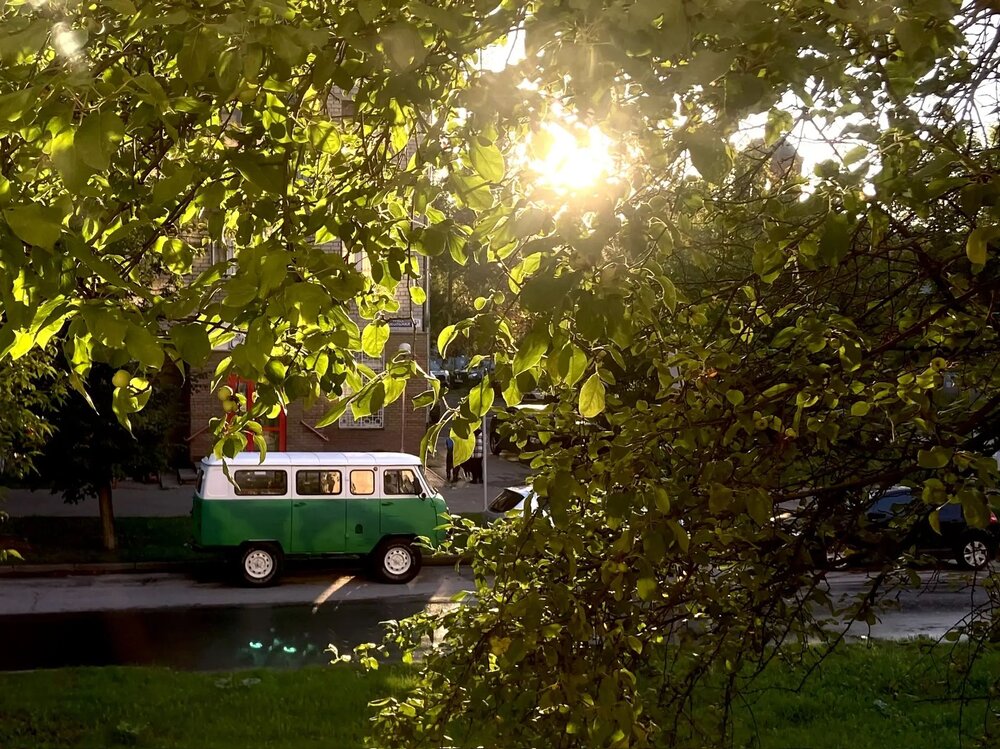 Photograph by Татьяна Савранчук