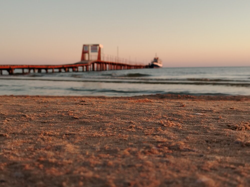 Photo #13860290