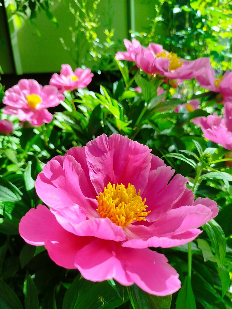 Photograph by Ирада Кузло