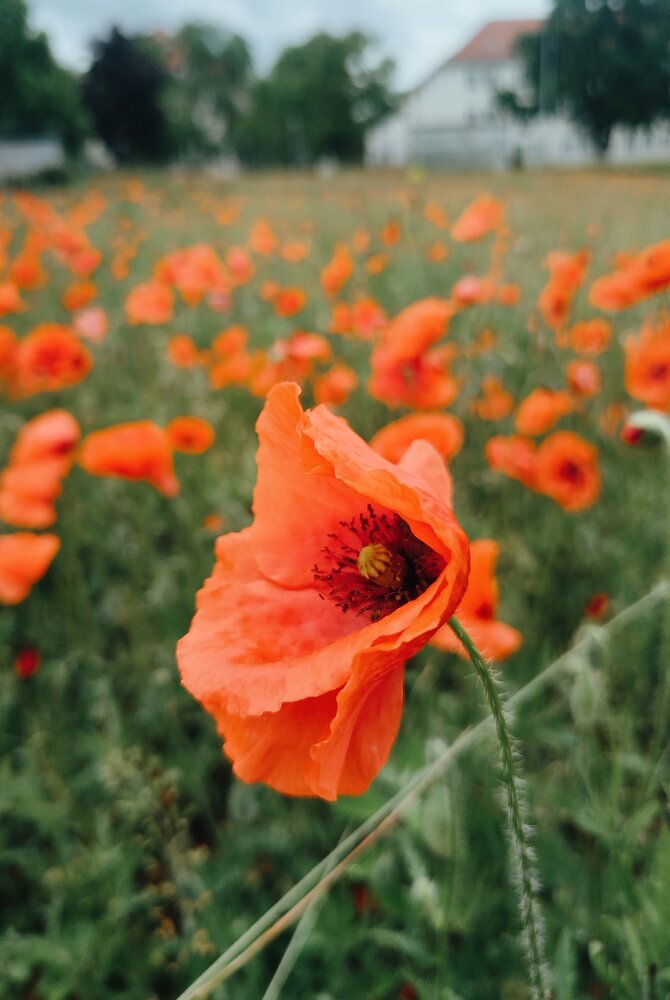 Photograph by Ирада Кузло