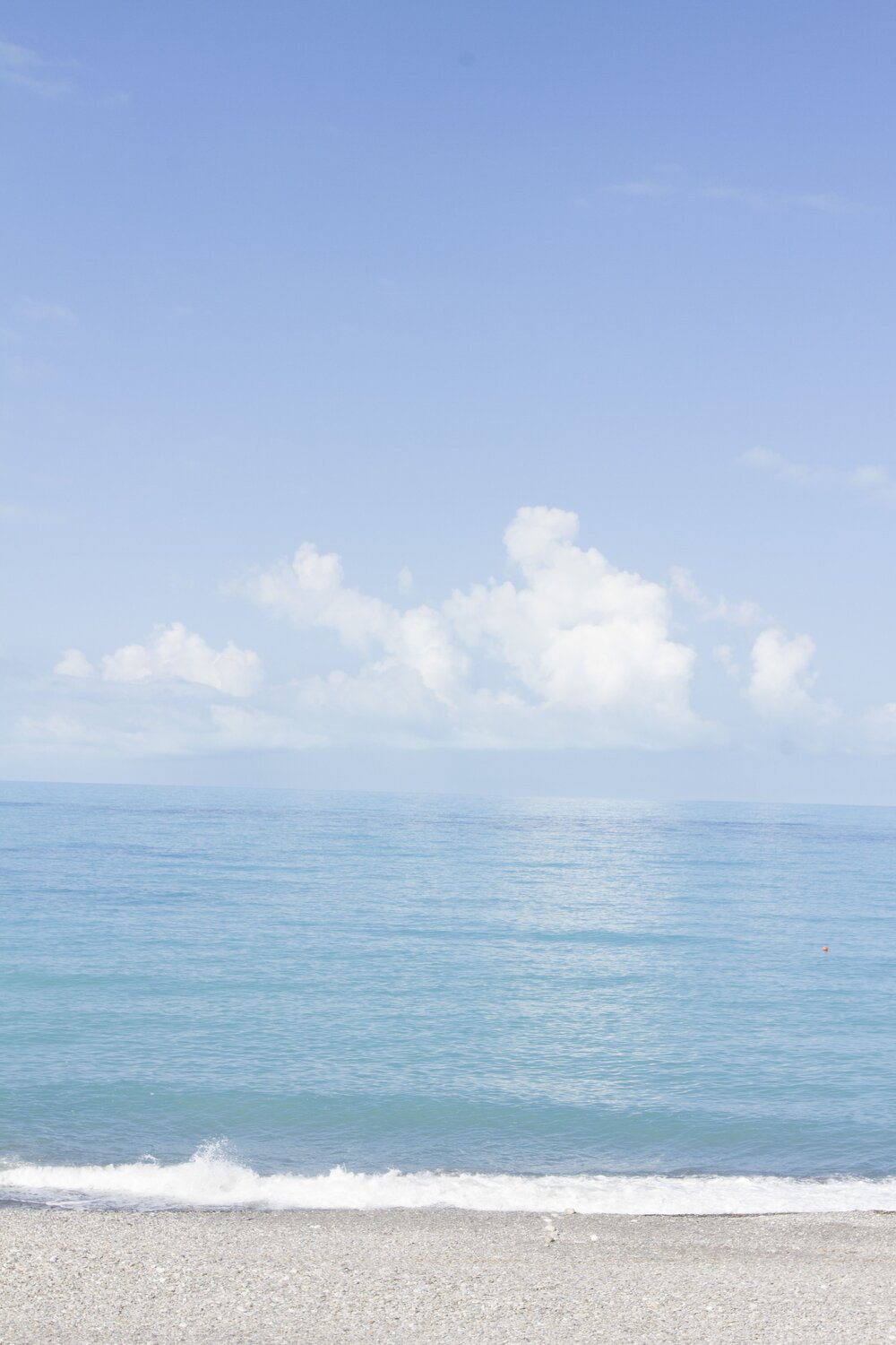 Photo #13860348