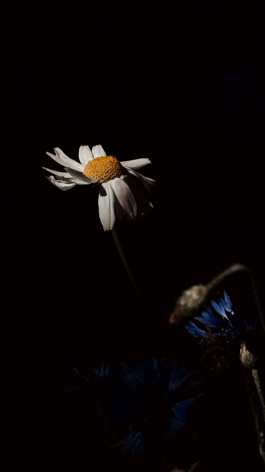 Photo #13860405