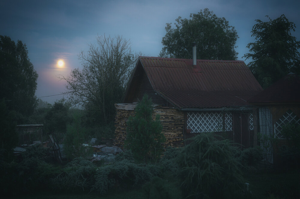 Photograph by Дмитрий Кудрявцев