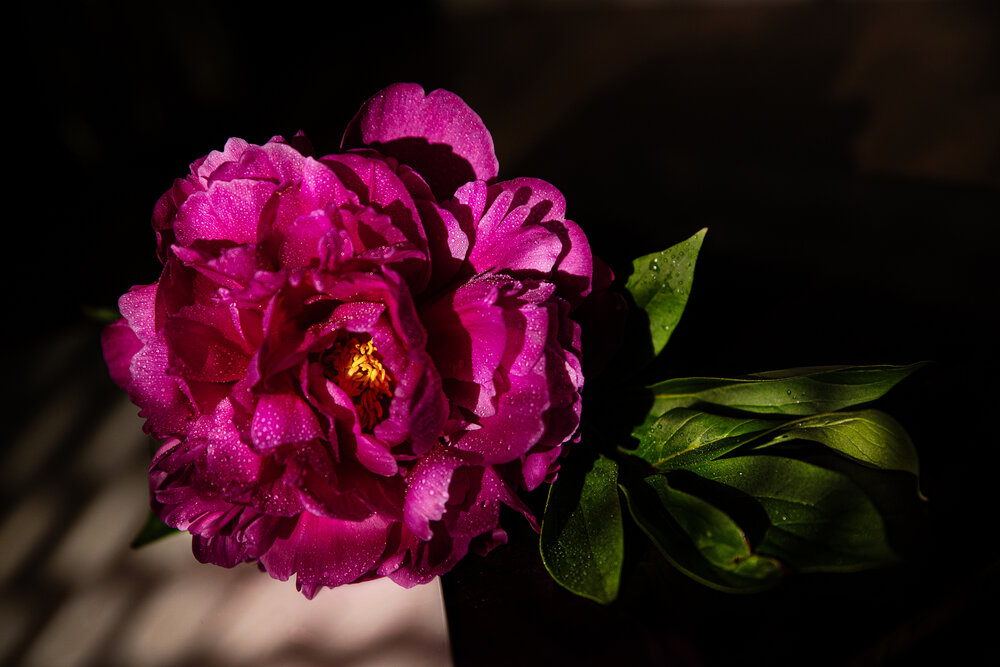 Photograph by Светлана Афанасьева
