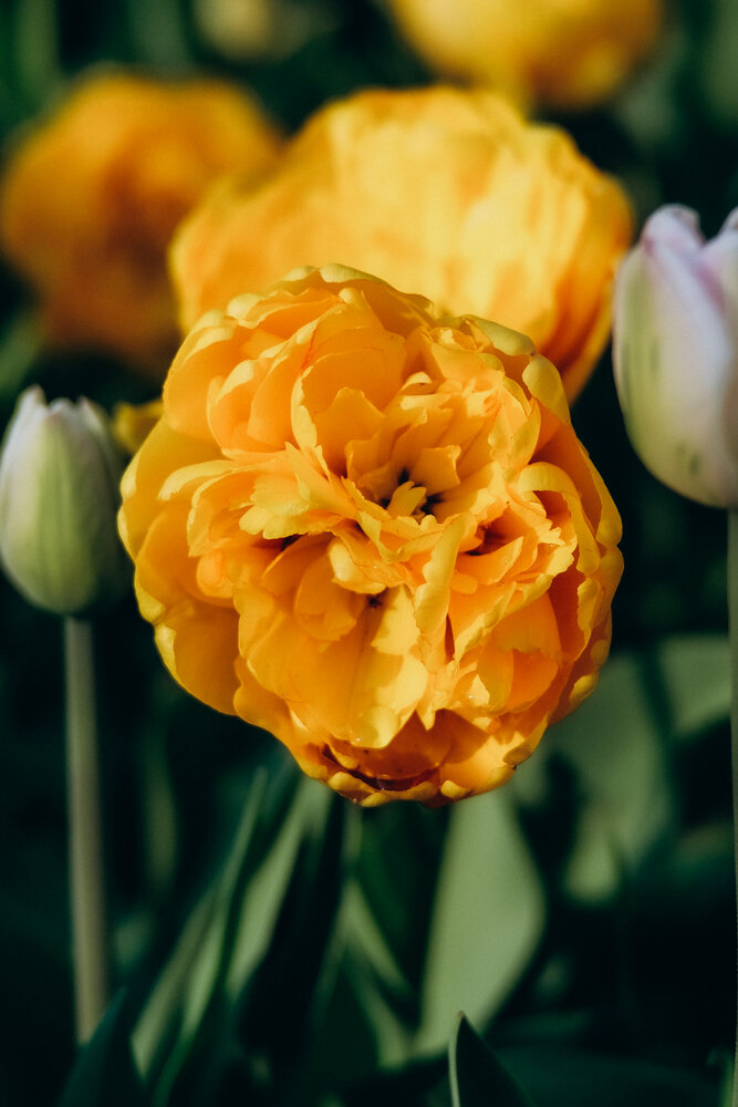 Photograph by Александра Кишикова