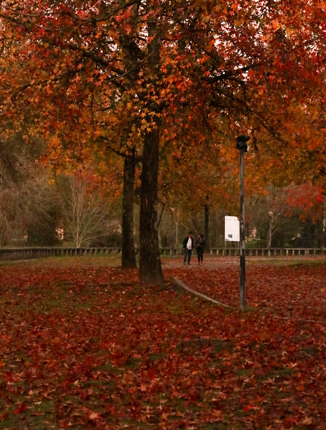 Photo #13860567