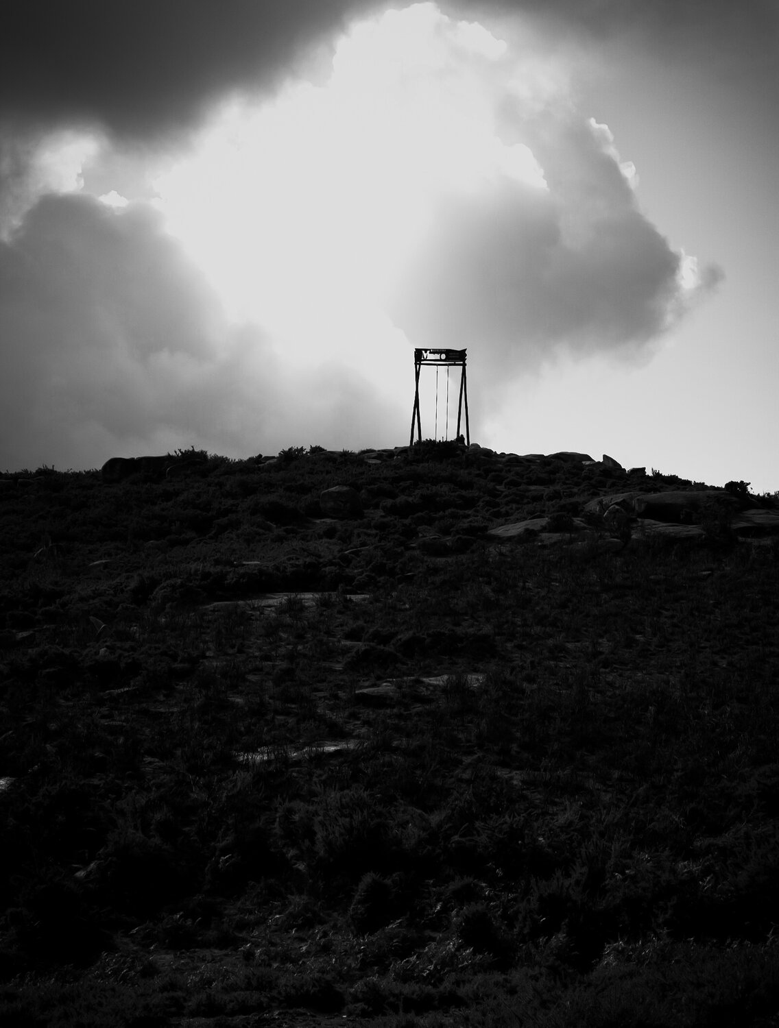 Photo #13860568