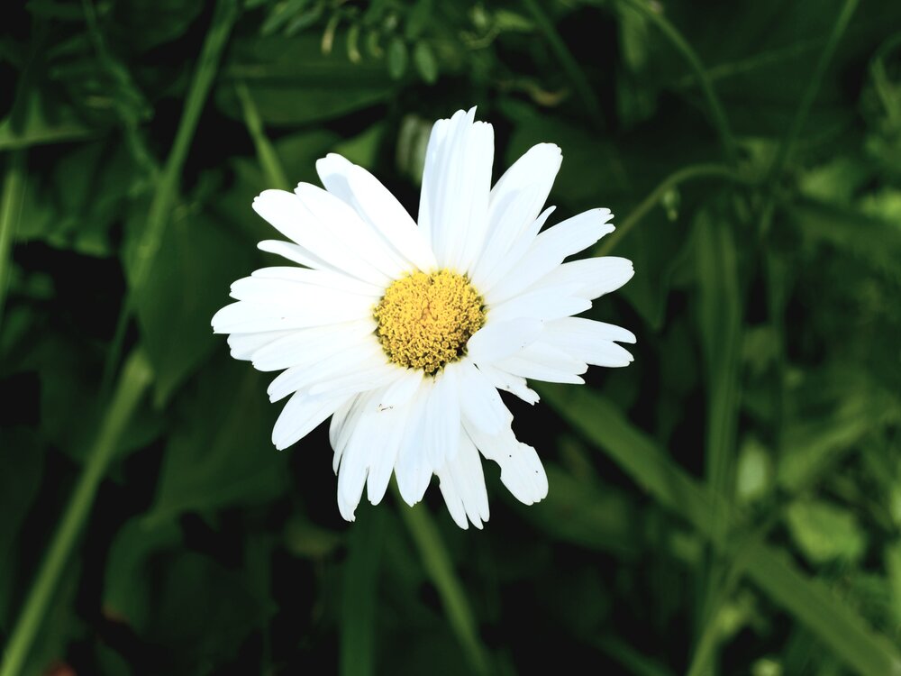 Photograph by Юлия Завгородняя