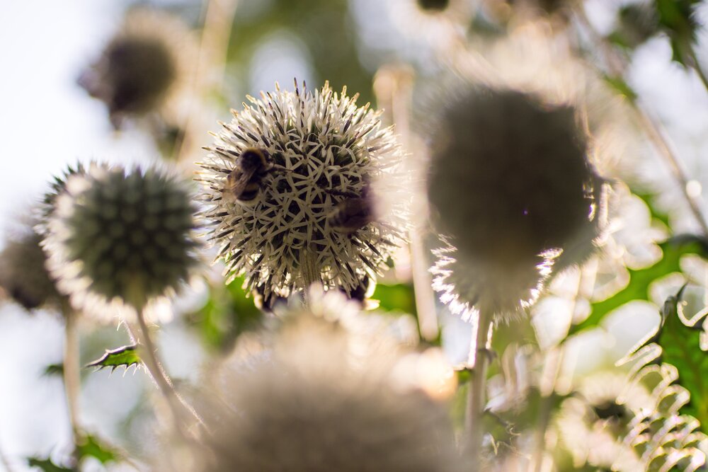 Photograph by Marina Mossiy