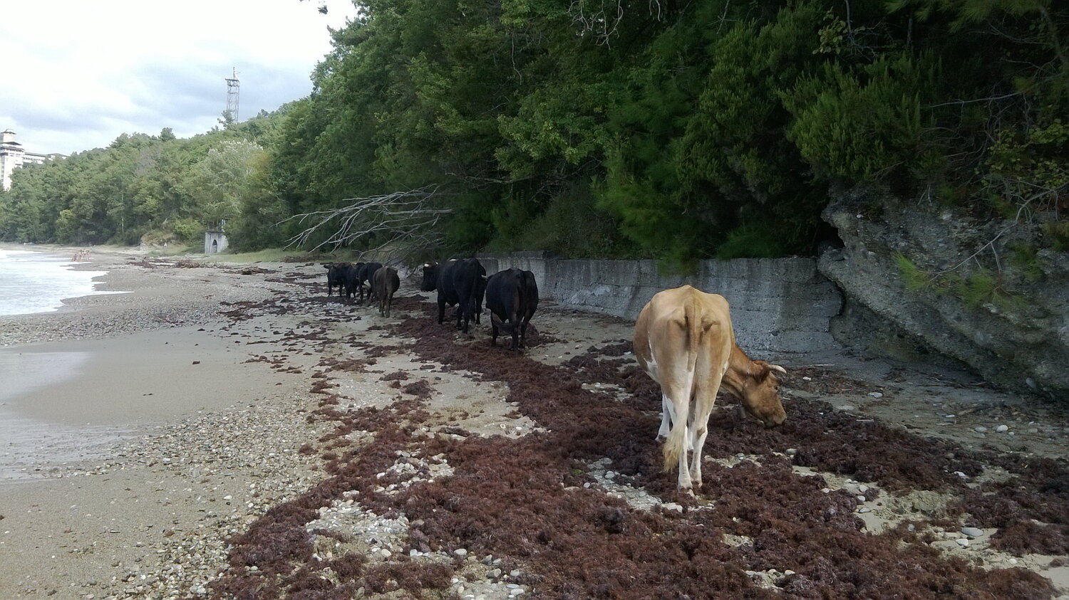 Photo #13860610
