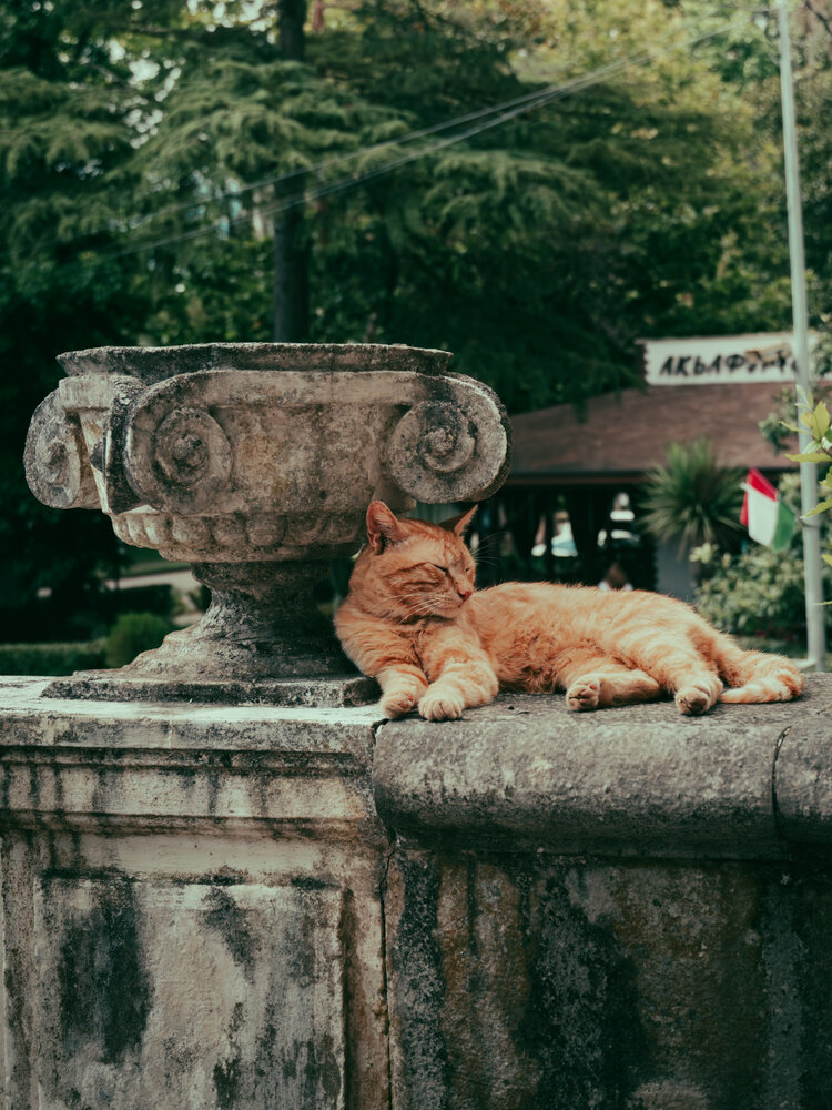 Photograph by Пол Фирс