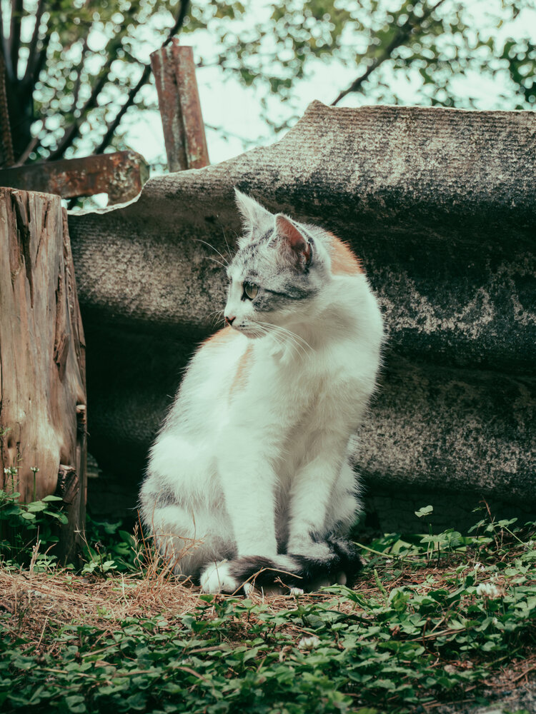 Photograph by Пол Фирс
