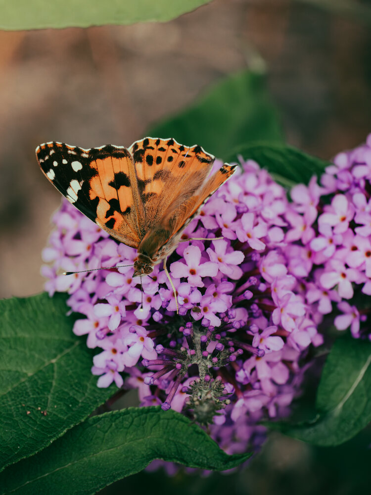 Photograph by Пол Фирс