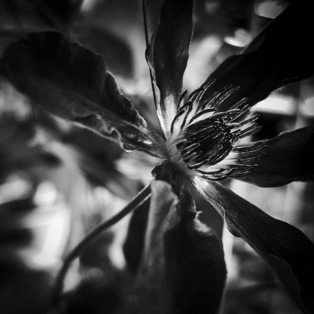 Photograph by SUZUKI Kazumichi