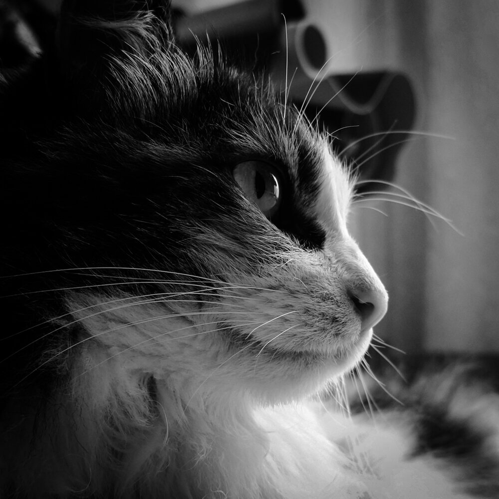 Photograph by SUZUKI Kazumichi