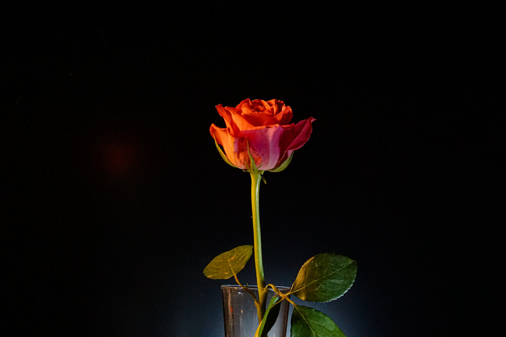 Photograph by Алфия Бугакова