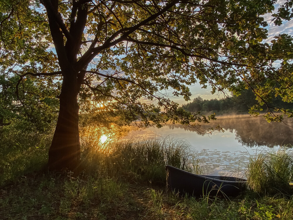 Photograph by Ольга Осинина