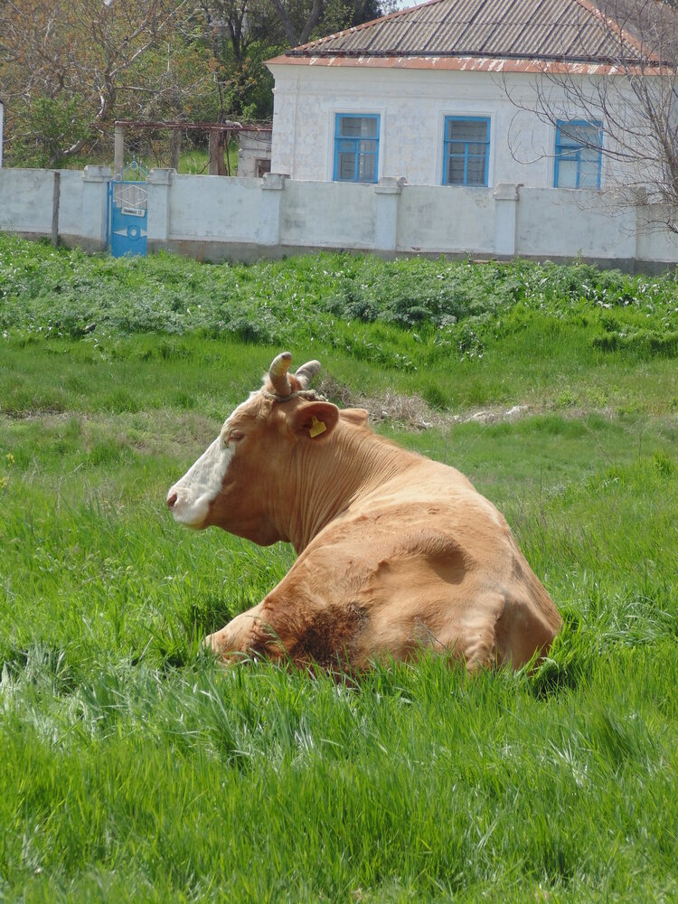 Photograph by Татьяна Стаскевич