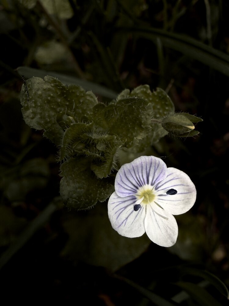 Photograph by Ольга Барулина