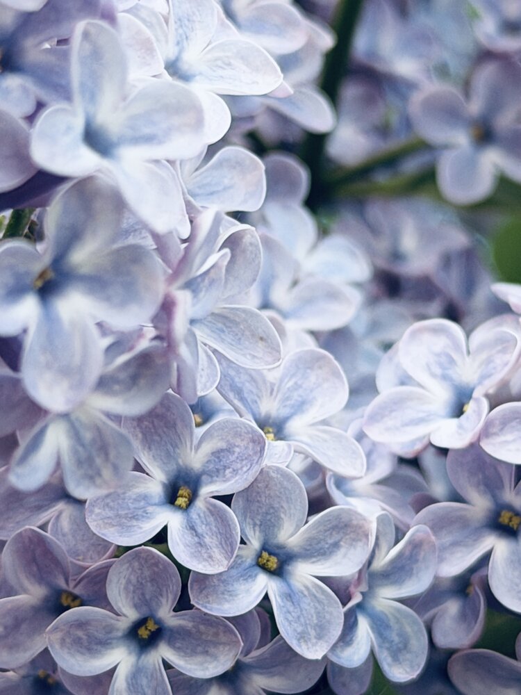 Photograph by Ольга Барулина