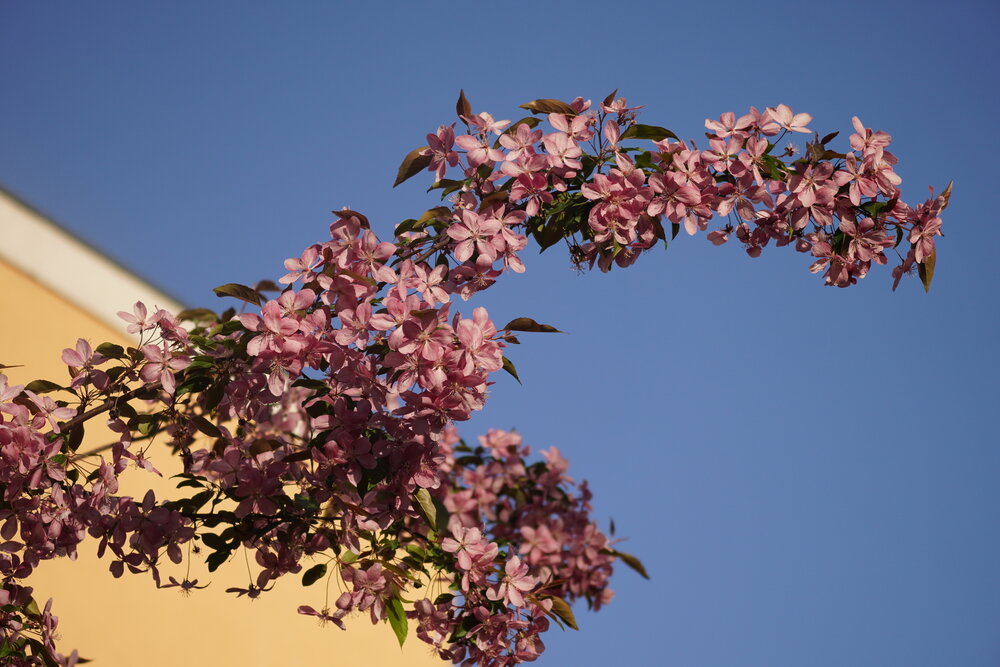 Photograph by Алфия Бугакова