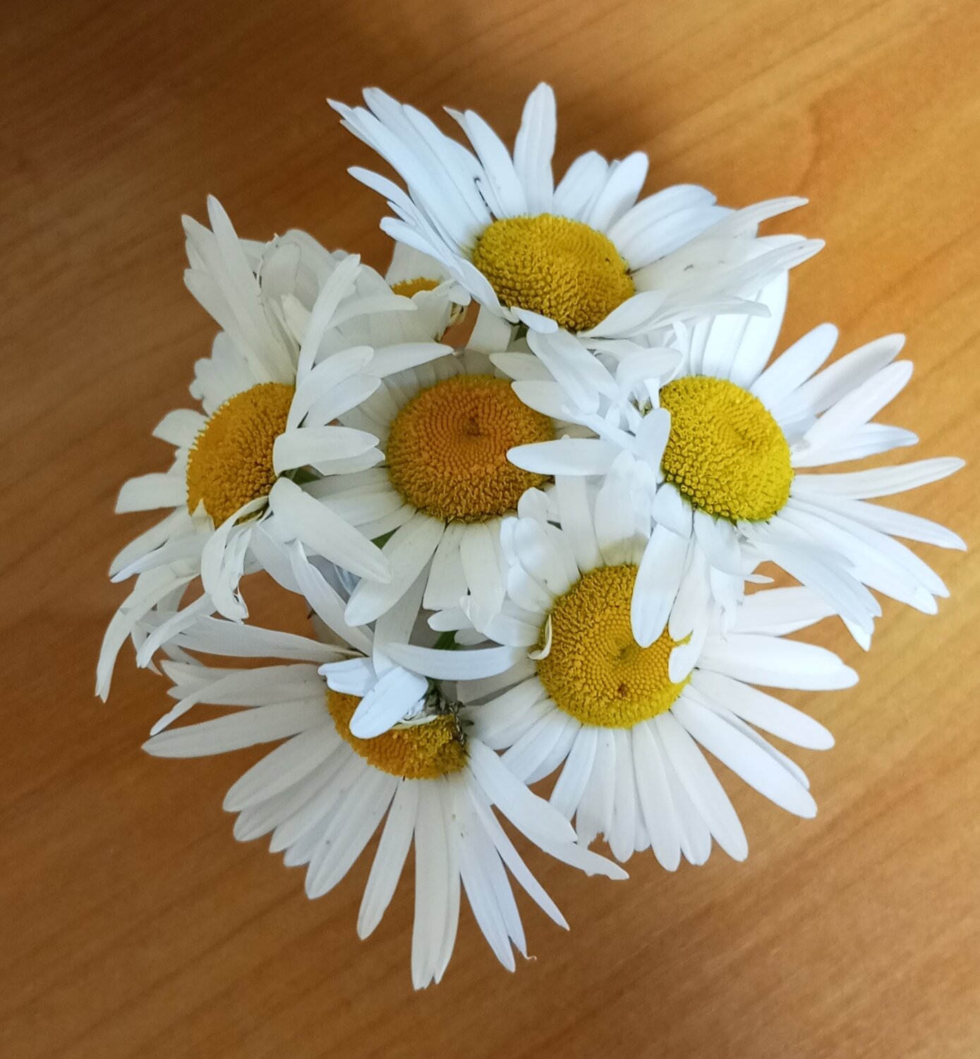Photo #13860838