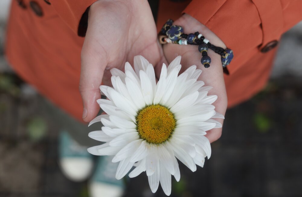 Photograph by Ирина Волк