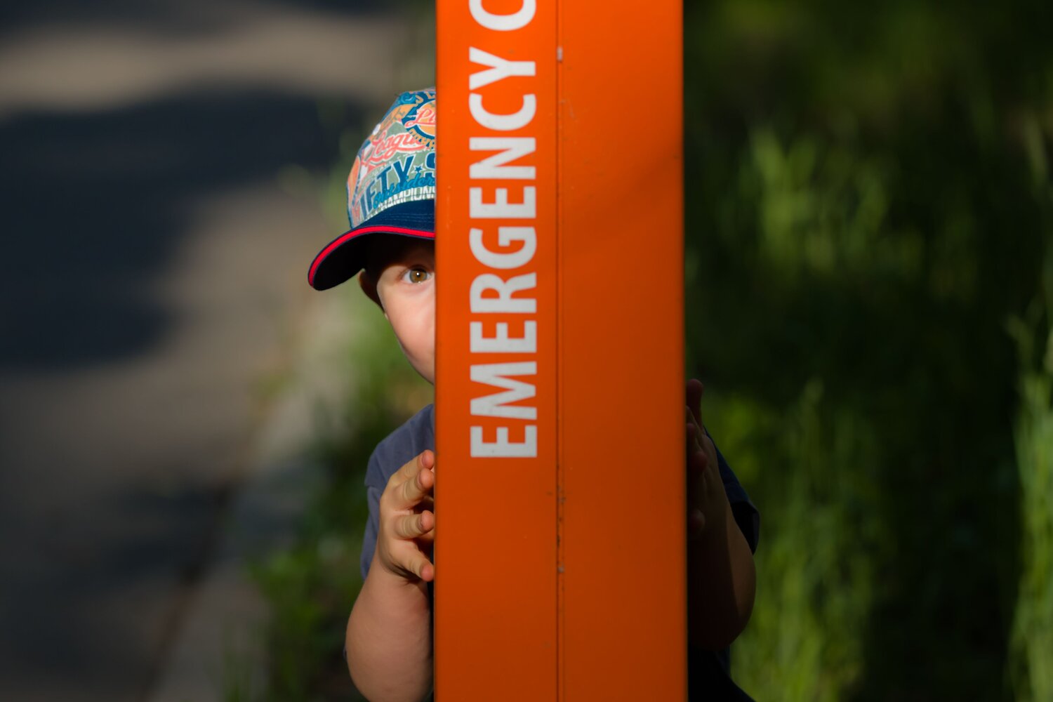 Photo #13860897