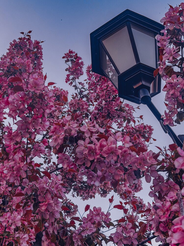 Photograph by Ирина Львова