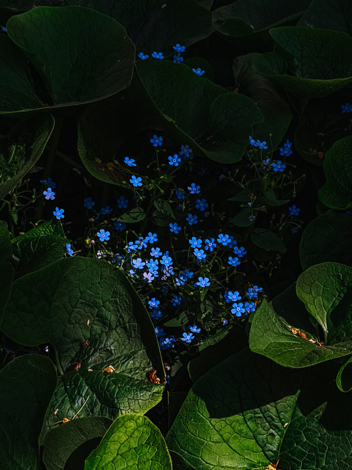 Photo #13860945