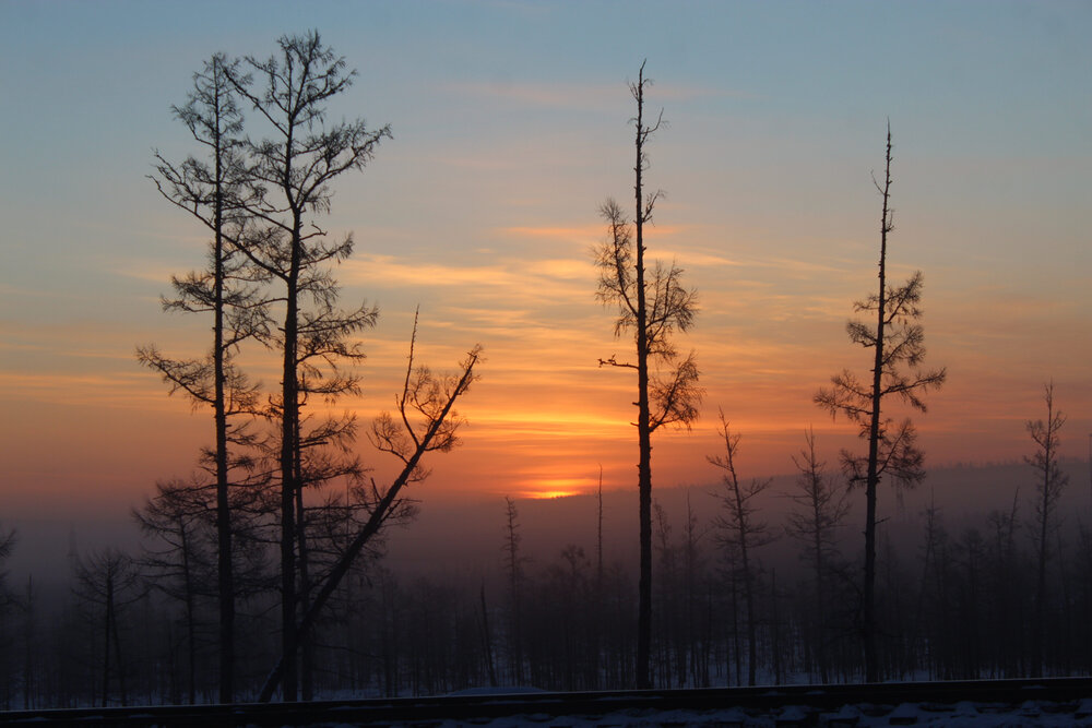 Photograph by Михаил Мархинин