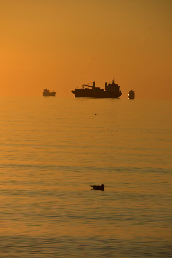 Photograph by Евгений Захаров