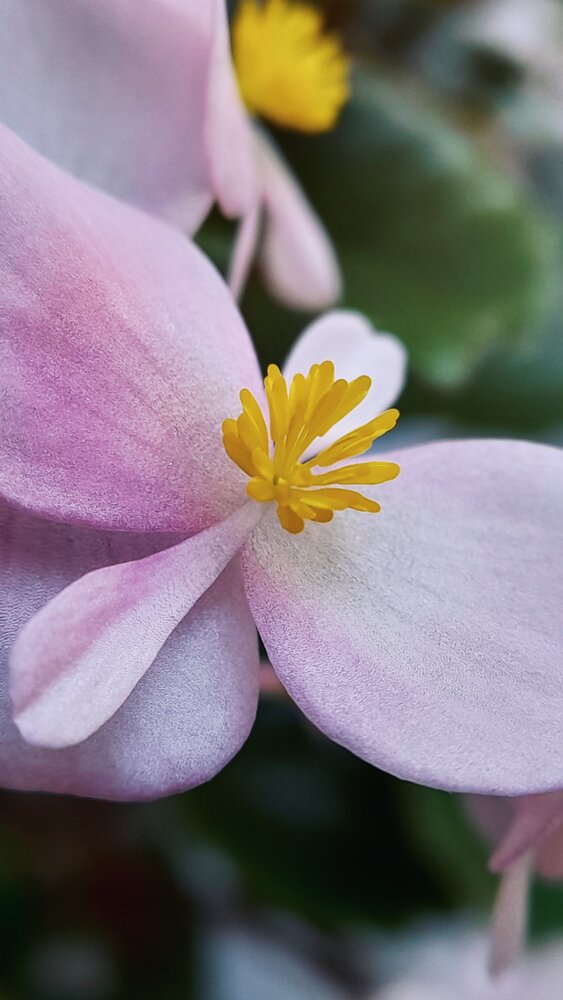 Photograph by Анна Морозова