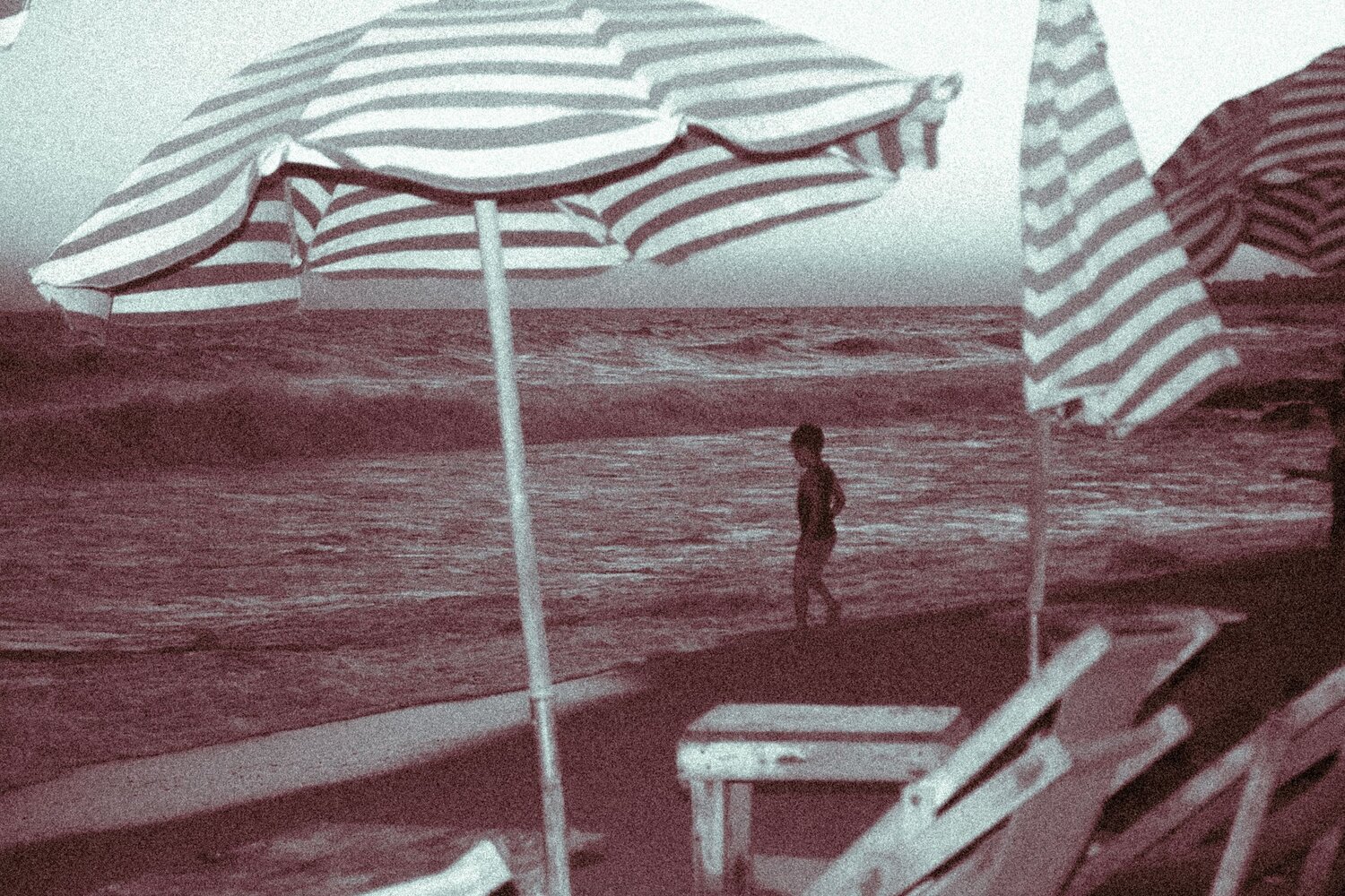 Фотография #13861013