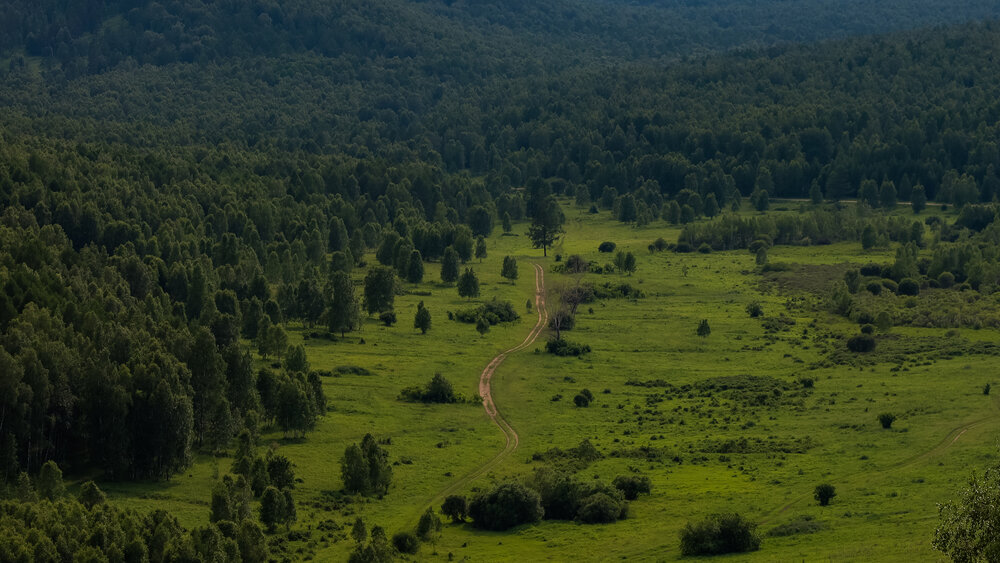 Фотография автора Роман Алейников