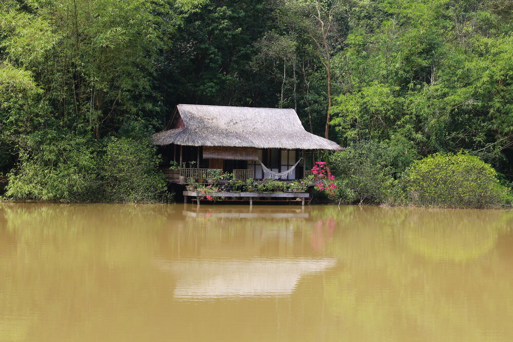 Photograph by Trí Võ