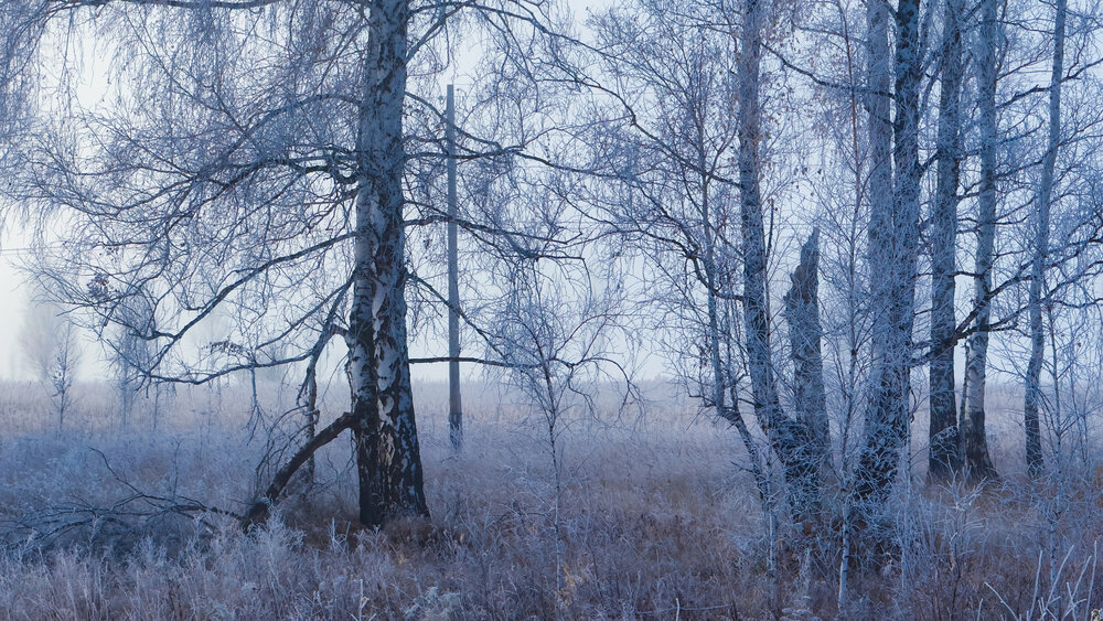 Фотография автора Роман Алейников
