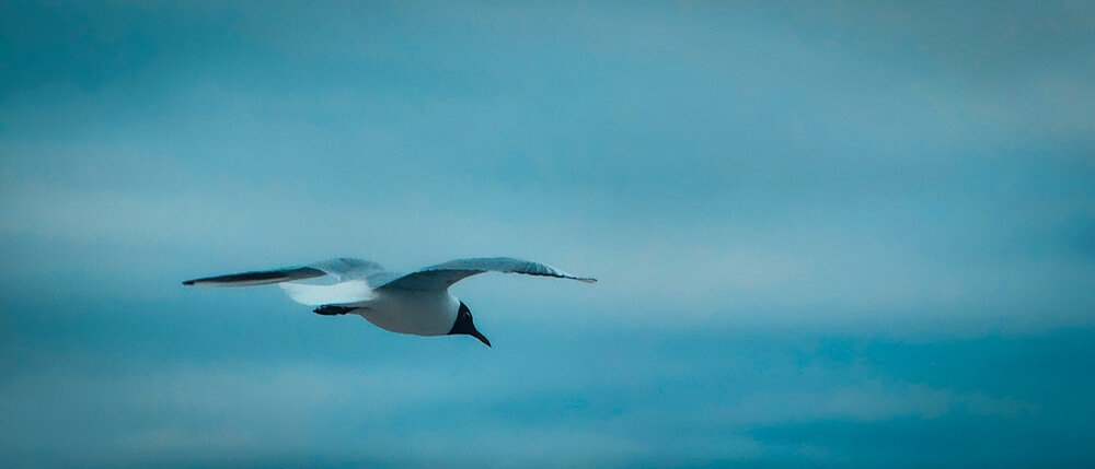 Photograph by Александр Матвеев