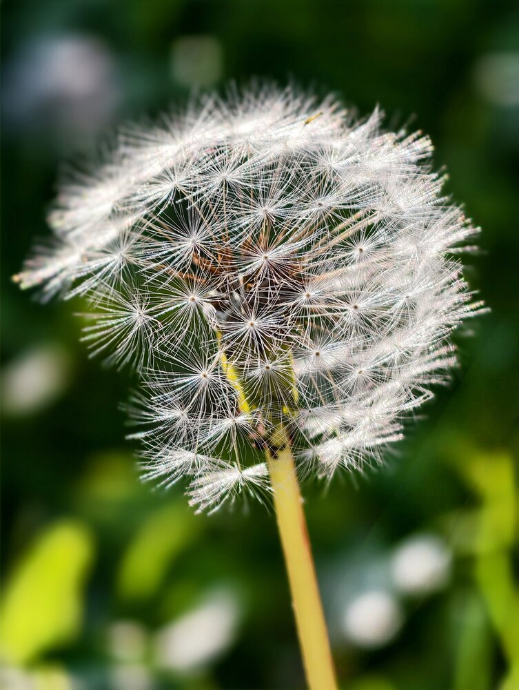 Photograph by Trung Nguyễn