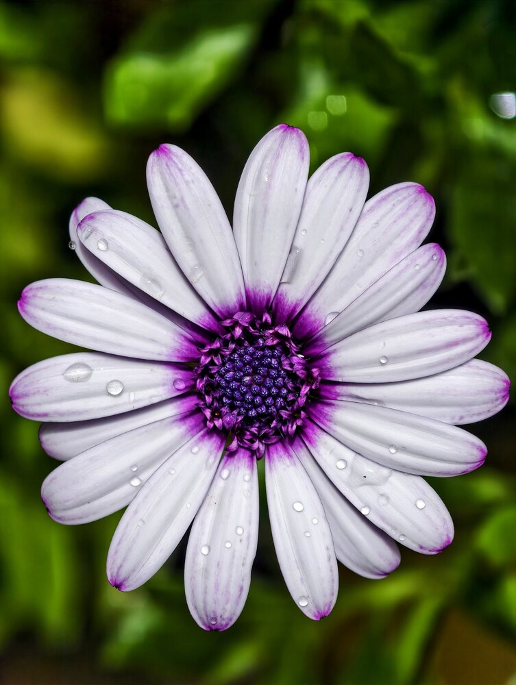 Photograph by Trung Nguyễn