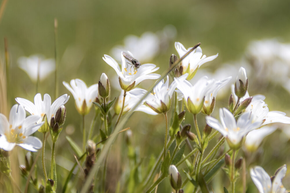 Photograph by Erdenemunkh Khurelchuluun