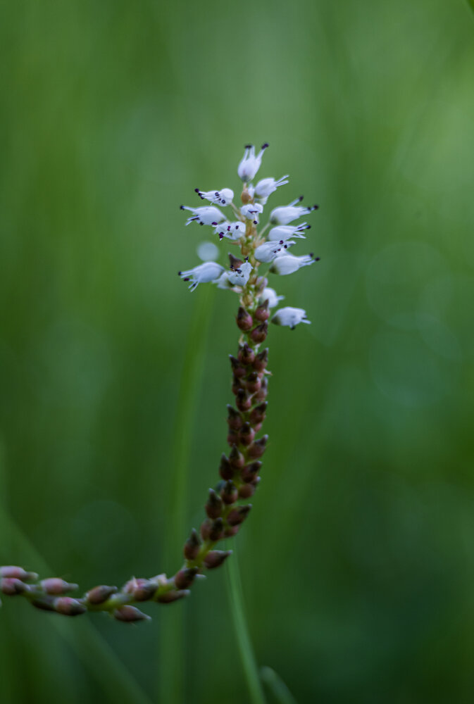 Photograph by Erdenemunkh Khurelchuluun