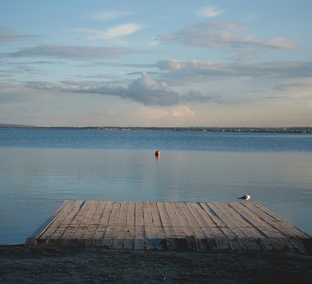 Photograph by Светлана Алехина