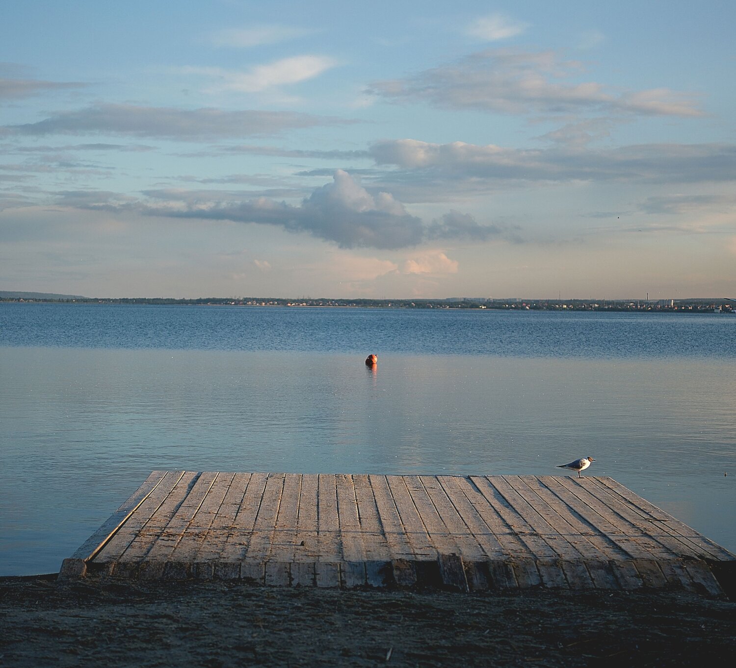 Photo #13861221
