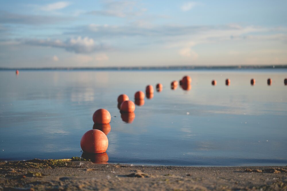 Photograph by Светлана Алехина