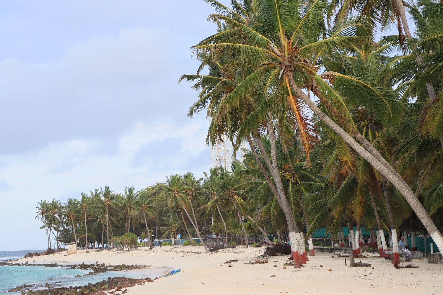 Photo #13861234
