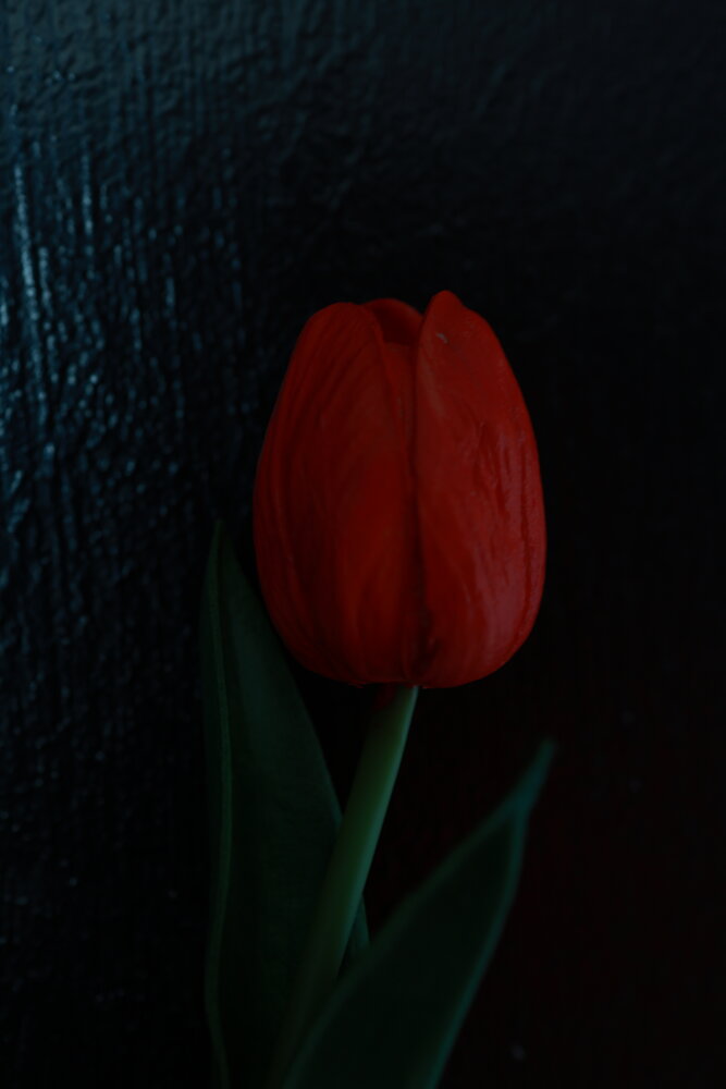 Photograph by Елена Буканина