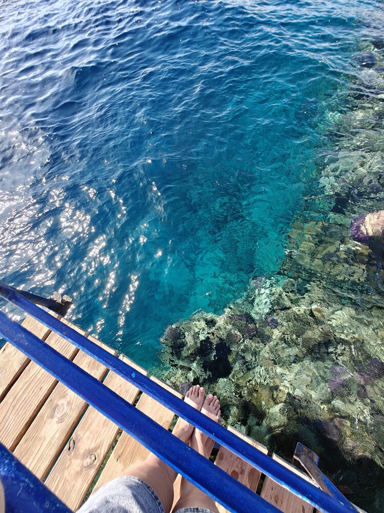 Красное море