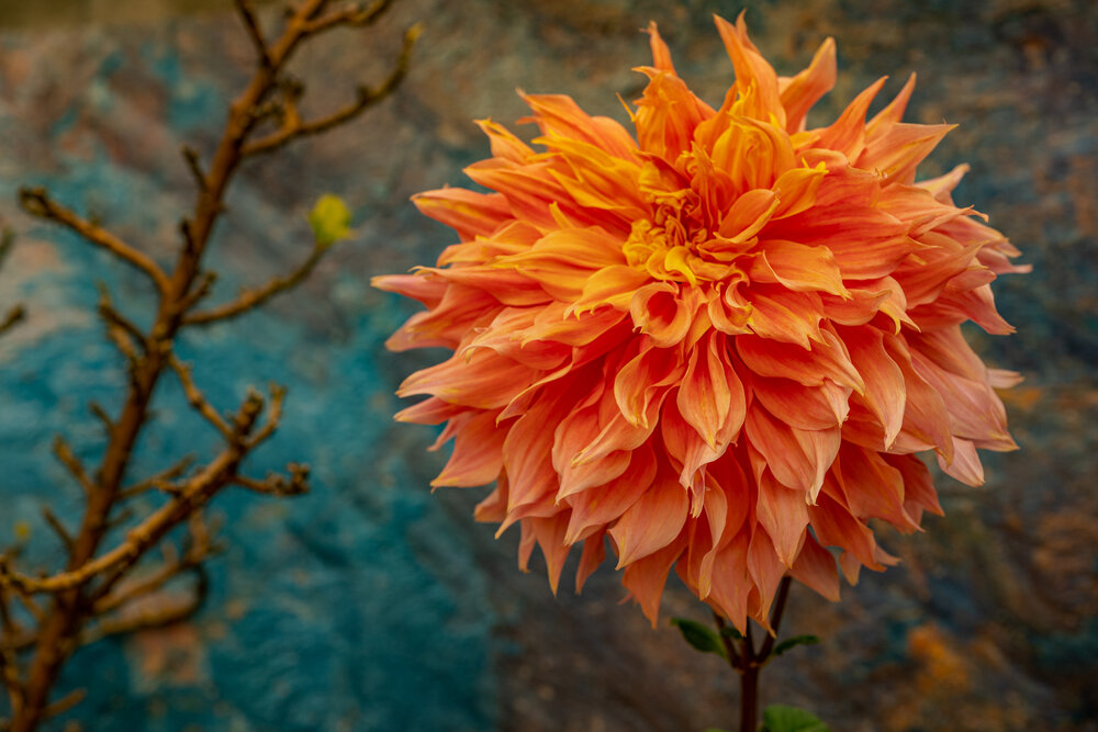 Photograph by sushovan sar