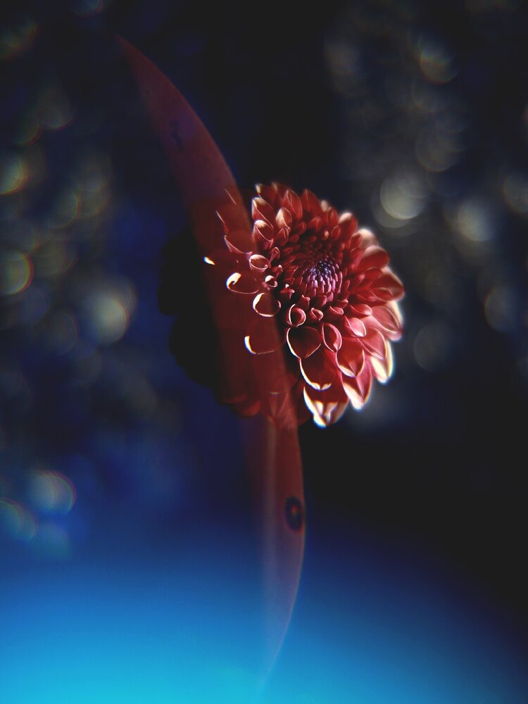 Photograph by Светлана Алехина